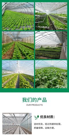 日光温室大棚 蔬菜水果种植 操作空间大 保温耐用 YH